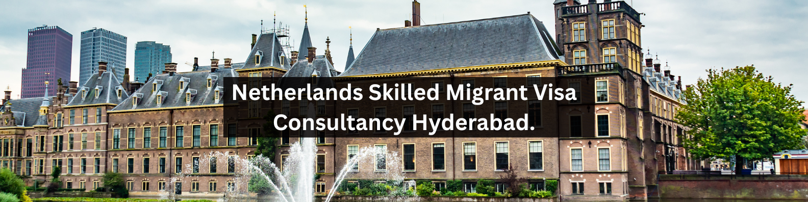 Netherlands Skilled Migrant Visa Consultancy Hyderabad.